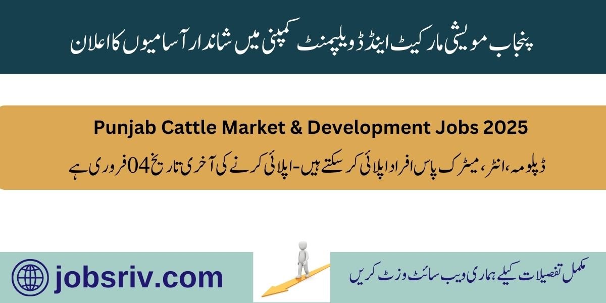 Punjab Cattle Market& Development Authority Company Jobs