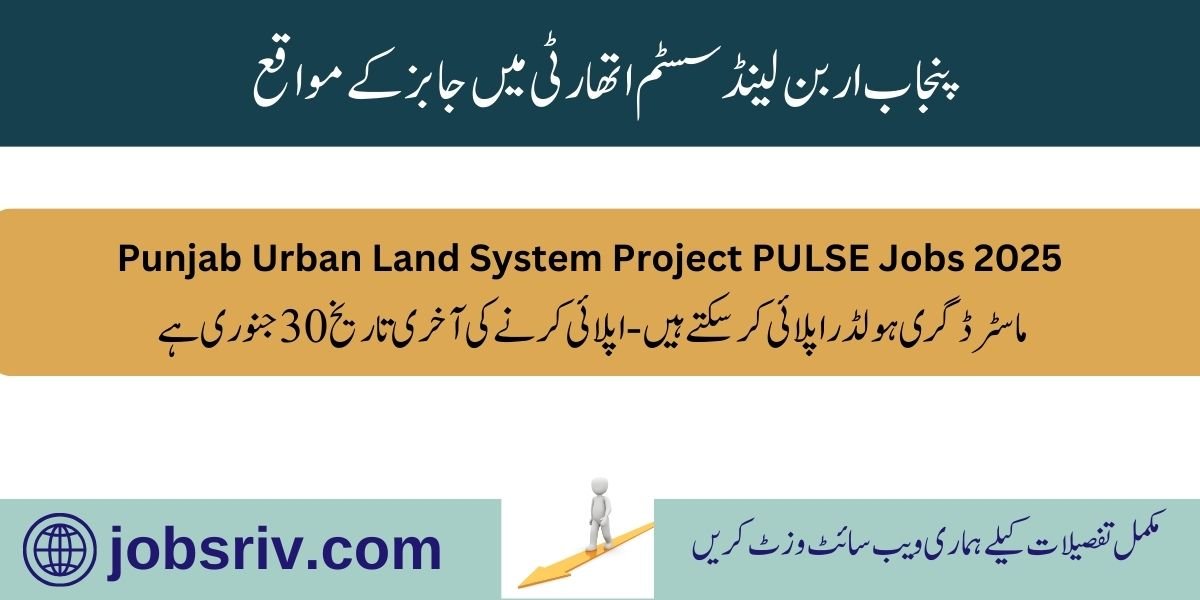 Punjab Land Authority Jobs 2025