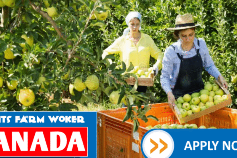 Fruit Farm Worker Jobs in Canada